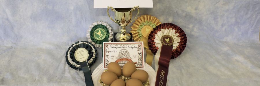 2017 Northampton & District Poultry Club Egg Show