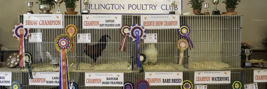 2017 Billington Poultry Club Autumn Show