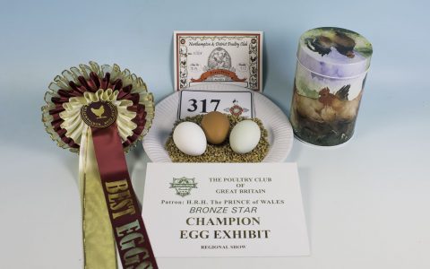 2018 Northampton & District Poultry Club Spring Show