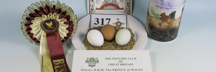 2018 Northampton & District Poultry Club Spring Show